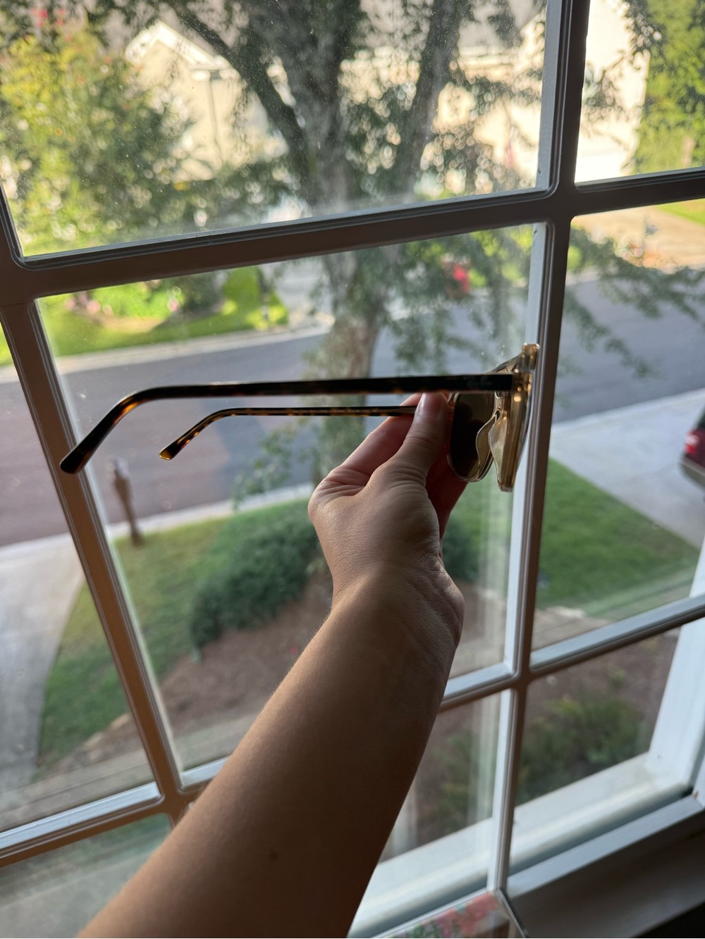 Ray-Ban Brown Tortoise Aviator Sunglasses - Picture 5 of 5
